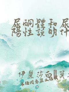 尿酮体和尿蛋白阳性说明什么问题