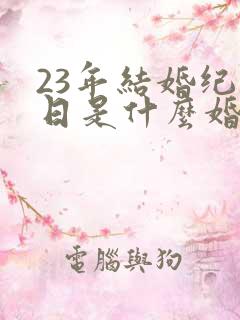 23年结婚纪念日是什么婚