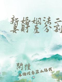 新婚姻法二婚夫妻财产分割