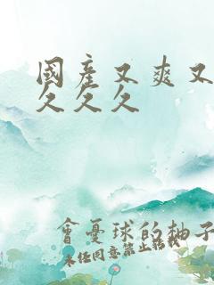 国产又爽又高潮久久久