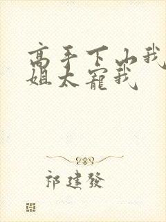 高手下山我家师姐太宠我