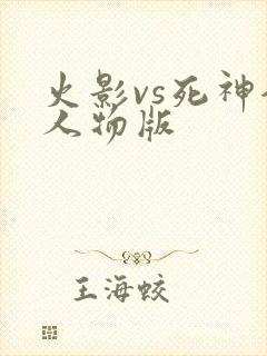 火影vs死神全人物版