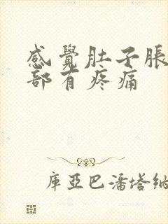 感觉肚子胀气胃部有疼痛