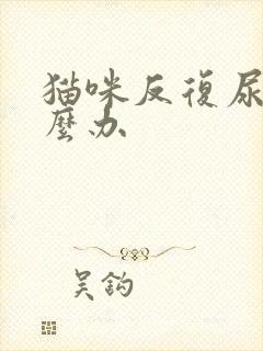 猫咪反复尿闭怎么办