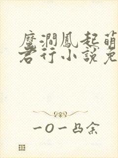 魔涧凤起萌兽与君行小说免费阅读全文