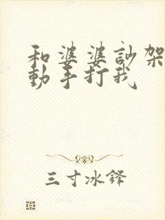 和婆婆吵架老公动手打我