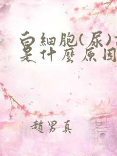 白细胞(尿)高是什么原因