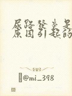 尿路发炎是什么原因引起的