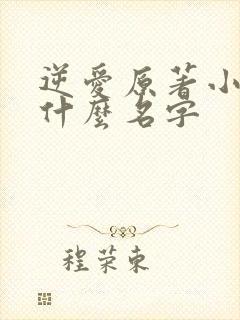 逆爱原著小说叫什么名字