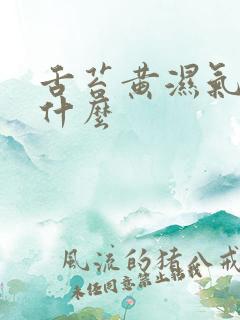舌苔黄湿气大吃什么