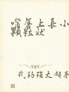 嘴唇上长小白点颗粒状