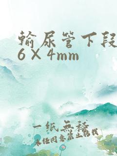 输尿管下段结石6×4mm