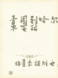 青冈到哈尔滨客车电话