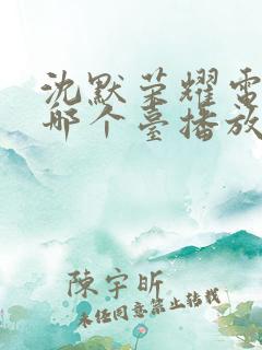 沈默荣耀电视剧哪个台播放