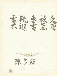 电瓶车放久了充不进电怎么办