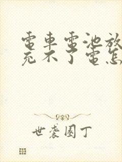 电车电池放久了充不了电怎么办