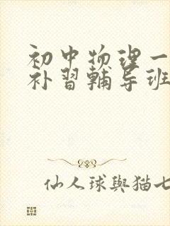 初中物理一对一补习辅导班