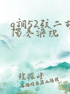 g调52弦二胡独奏梁祝