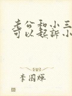 老公和小三同居可以起诉小三吗