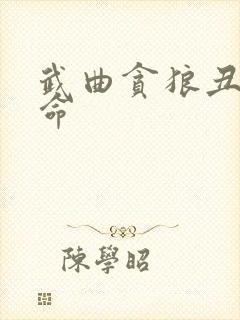 武曲贪狼丑宫坐命