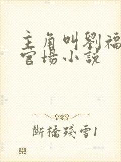 主角叫刘福生的官场小说