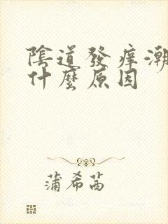 阴道发痒潮湿是什么原因