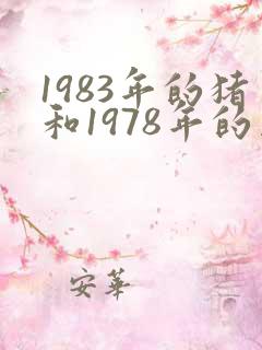 1983年的猪和1978年的马婚姻状况