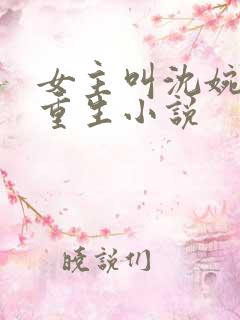 女主叫沈婉婉的重生小说