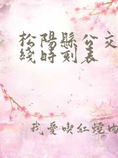 松阳县公交车路线时刻表