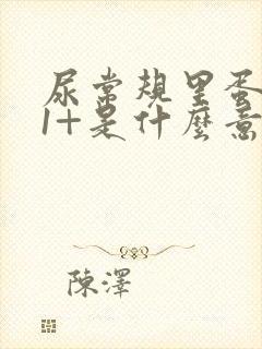 尿常规里蛋白质1+是什么意思