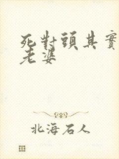 死对头其实是我老婆