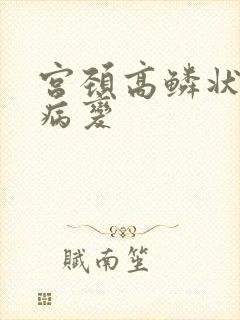 宫颈高鳞状上皮病变