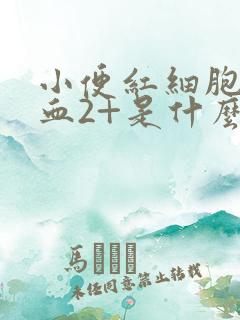 小便红细胞高隐血2+是什么原因