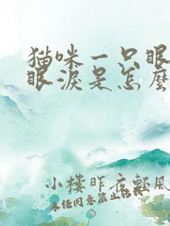 猫咪一只眼睛流眼泪是怎么回事