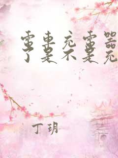 电车充电器不响了是不是充不进电了