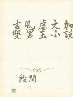古风虐文加虐身双男主小说