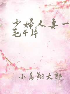 少妇人妻一级a毛4片