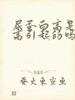 尿蛋白高是尿酸高引起的吗