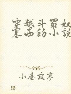 穿越斗罗奴役波塞西的小说