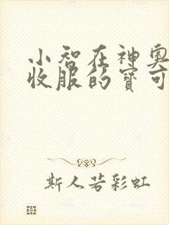 小智在神奥地区收服的宝可梦