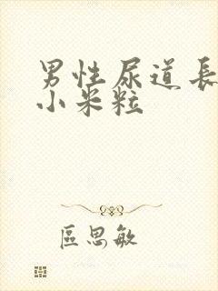 男性尿道长小肉小米粒