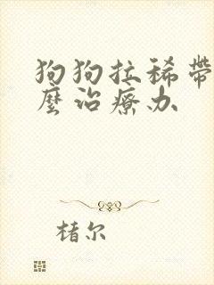 狗狗拉稀带血怎么治疗办