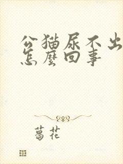 公猫尿不出来尿怎么回事