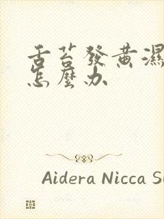 舌苔发黄湿气重怎么办