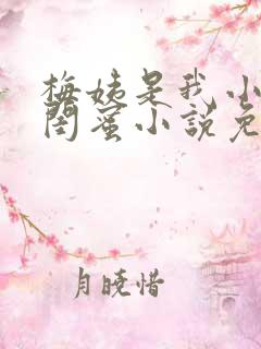 梅姨是我小妈的闺蜜小说免费阅读