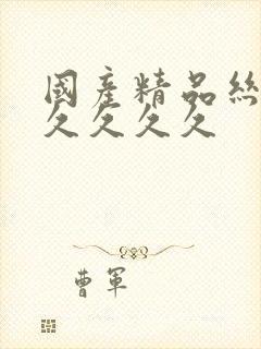 国产精品丝袜久久久久久