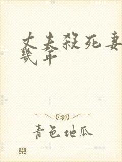 丈夫杀死妻子判几年