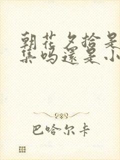 朝花夕拾是散文集吗还是小说集