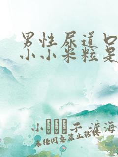 男性尿道口里有小小米粒是什么病