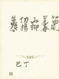 万仞山羌笛何须怨杨柳春风不度玉门关